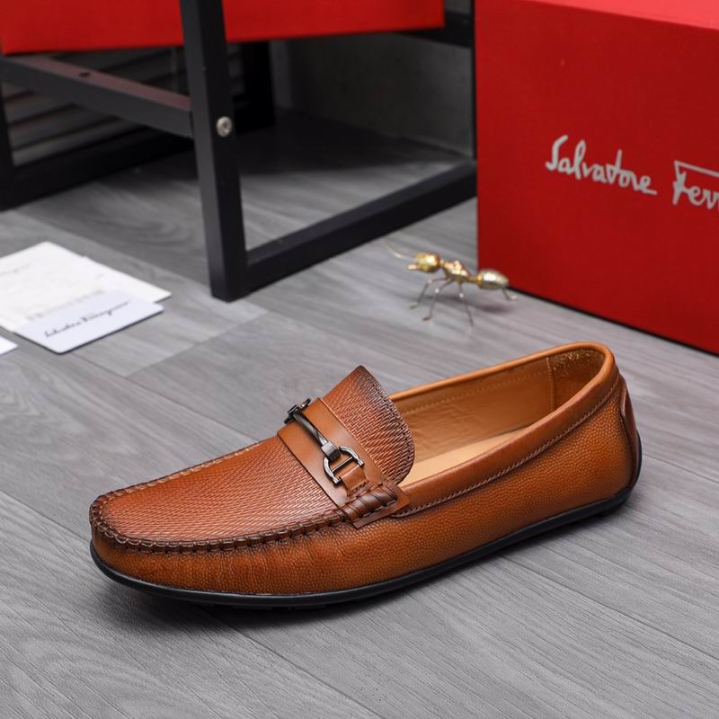 Ferragamo sz38-44 hnm0205